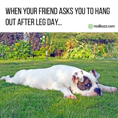 When your friend asks you to hang out after leg day
