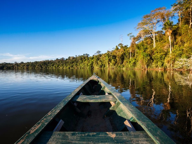 Visit the Amazon Rainforest