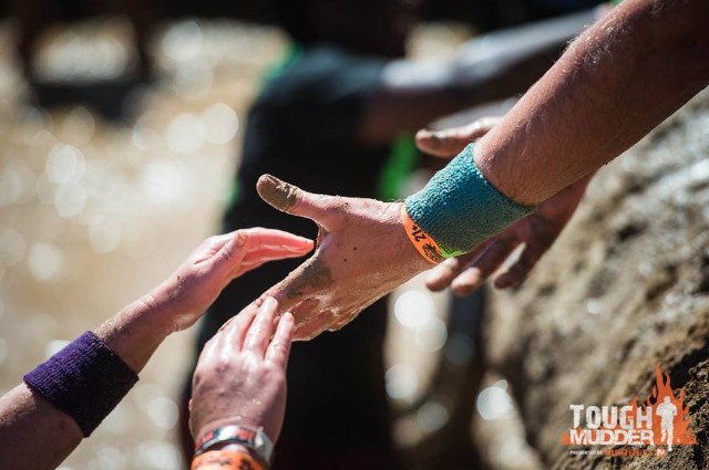 Mudders helping each other over an obstacle.