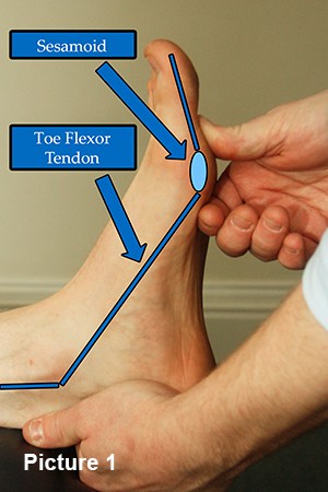 Toe joint for surface anatomy