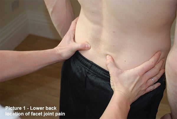 Lower back location of facet joint pain