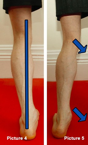 Correct and incorrect calf line