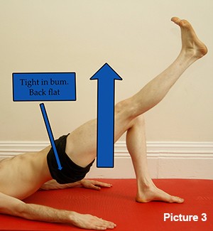 Gluteal Max Bridging