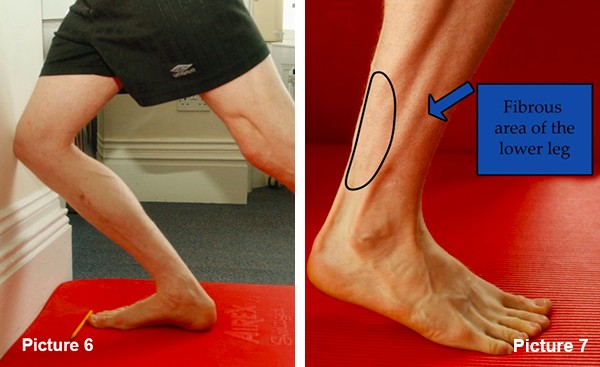 Picture 7 - Fibrous area of calf. Picture 8 - Roller calf