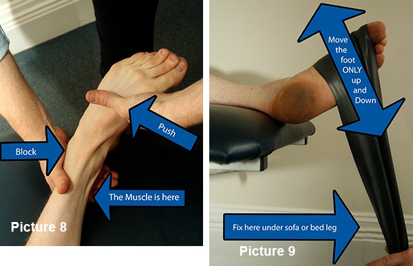 Tibialis posterior weakness test and strength work